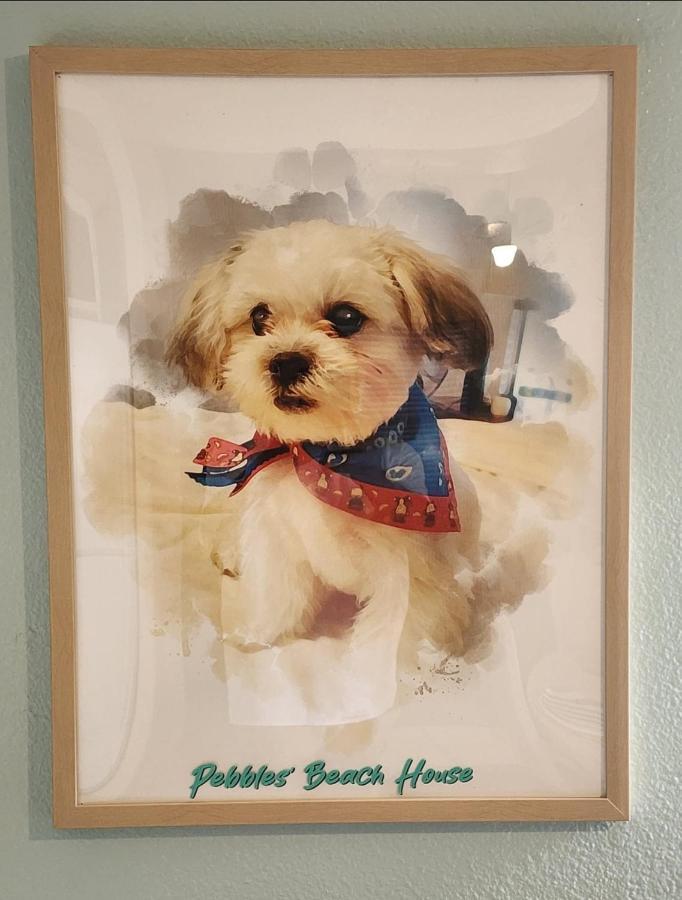 Pebbles' Beach House Edinburg Eksteriør billede